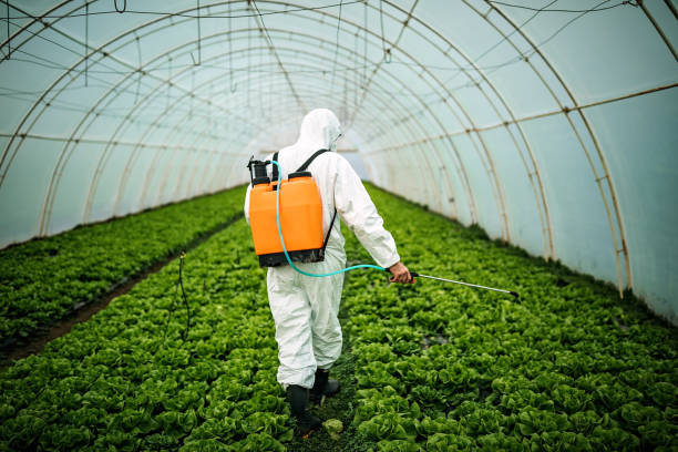 Best Pest Prevention Services  in Copperton, UT