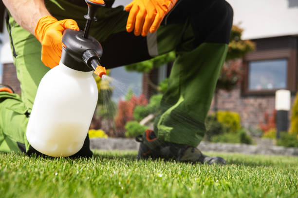 Best Flea Control Services  in Copperton, UT