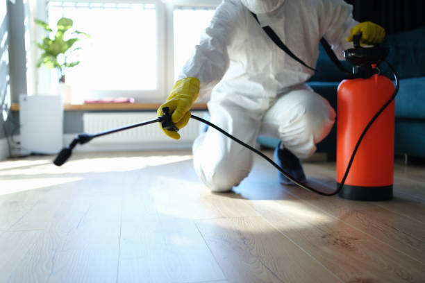 Best Pest Prevention Services  in Copperton, UT