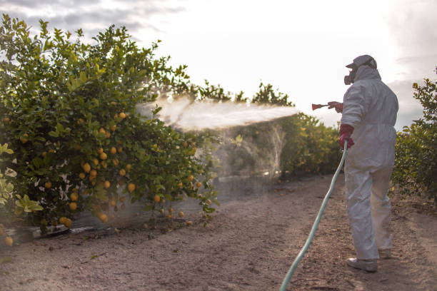 Reliable Copperton, UT Pest Control Solutions