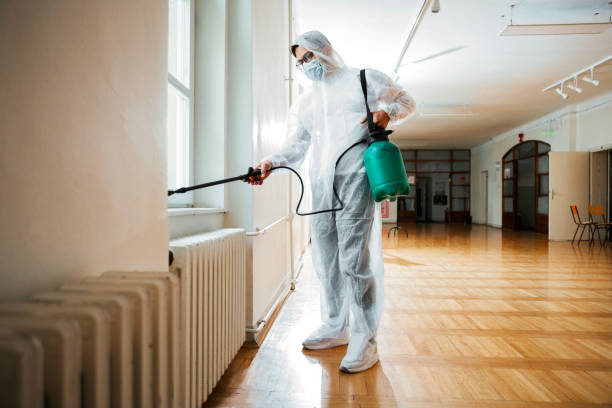 Best Best Pest Control Companies  in Copperton, UT